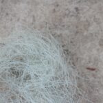 埋もれているもの