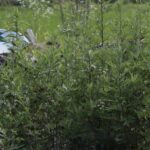 リノベーションと環境